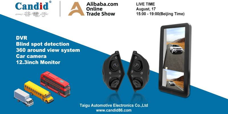 ライブストリーミングショー